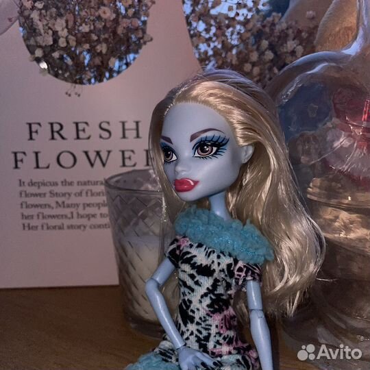 Кукла Монстер Хай Эбби
