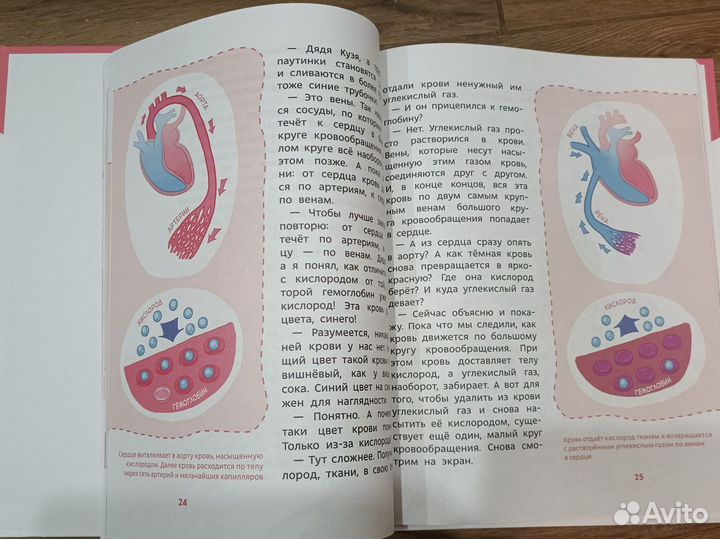 Как устроен человек Елена Качур Чевостик