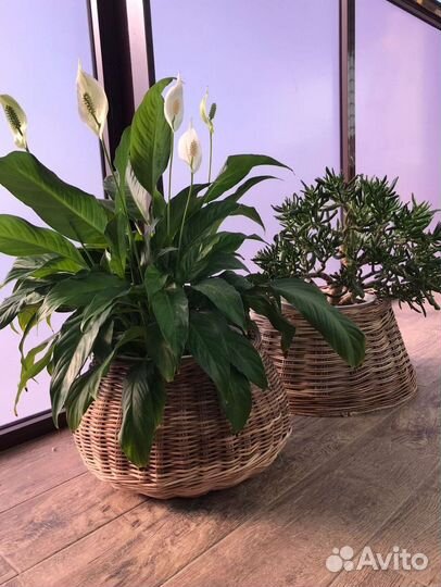 Корзина для хранения