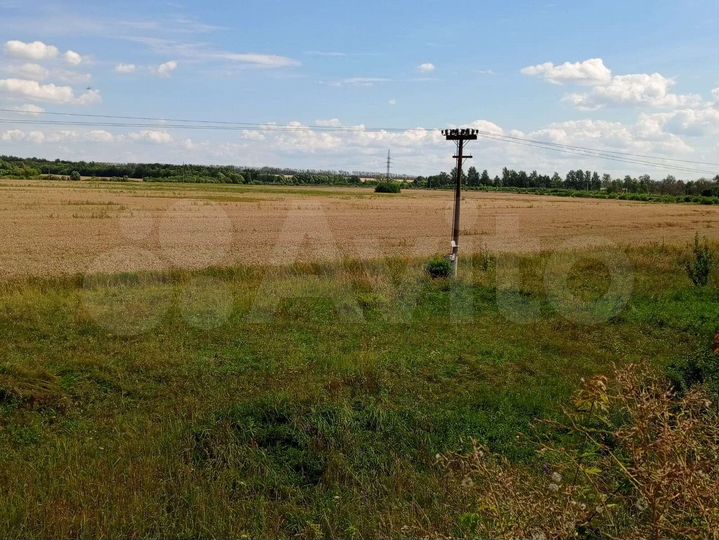 Участок 22 га (СНТ, ДНП)
