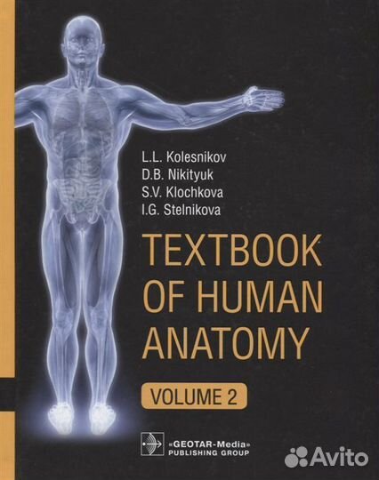 Анатомия человека