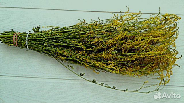 Веники для бани- донник