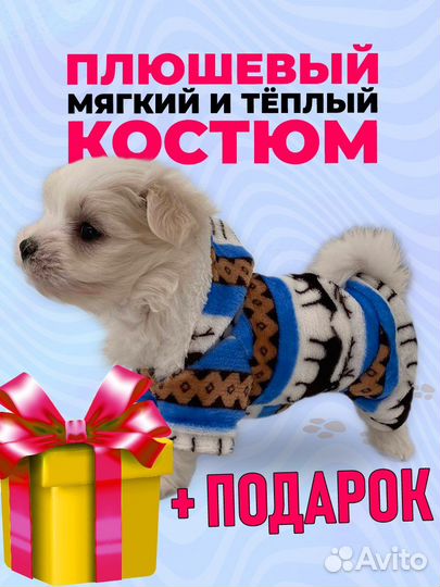 Одежда для собак мелких пород, комбинезон