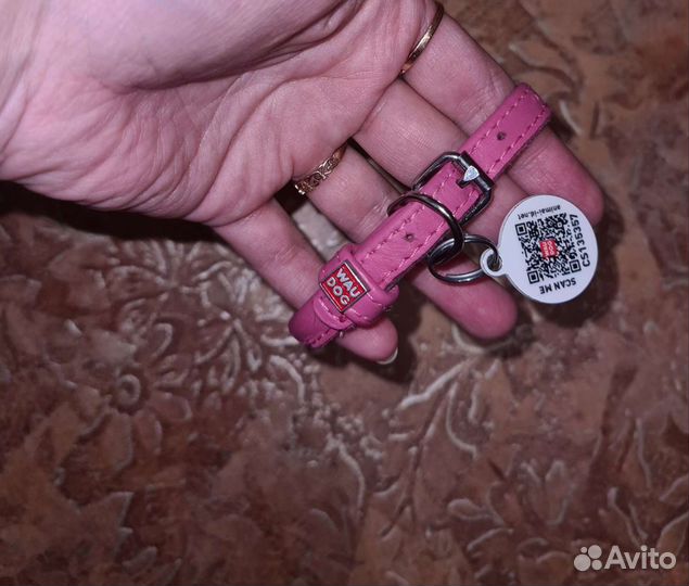 Ошейник для собак