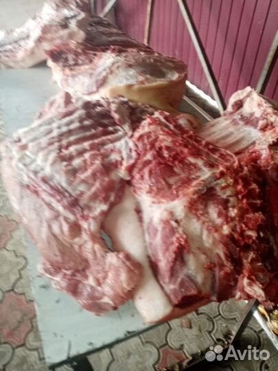 Мясо свинина домашняя