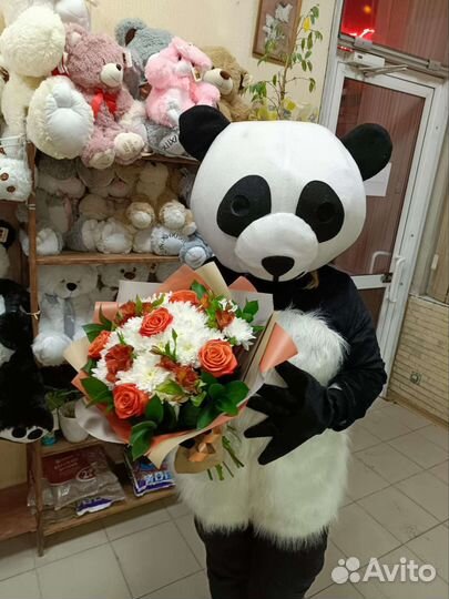 Поздравление от белого и бурого мишки, Хагги Вагги