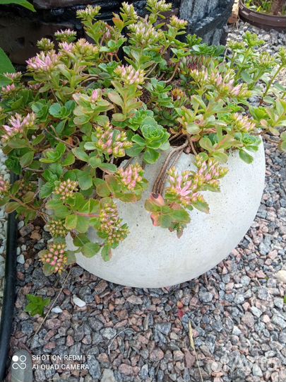 Шар бетонный/шаровидный вазон/садова фигура