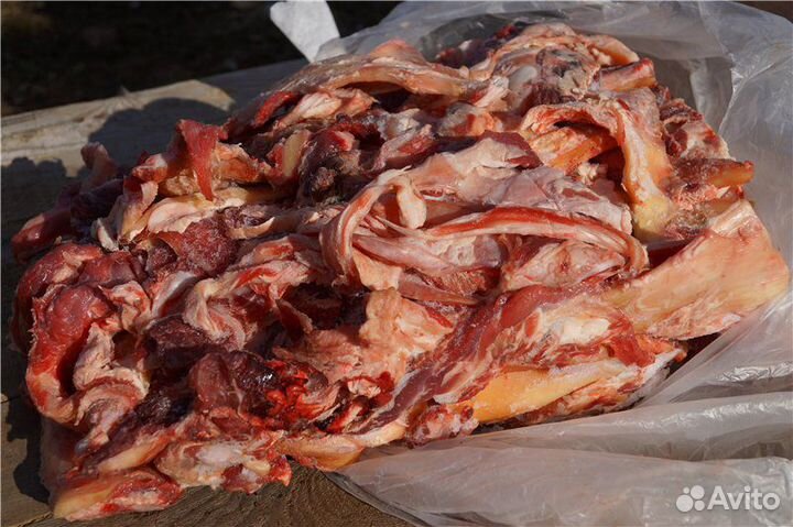 Натуральные корма для собак