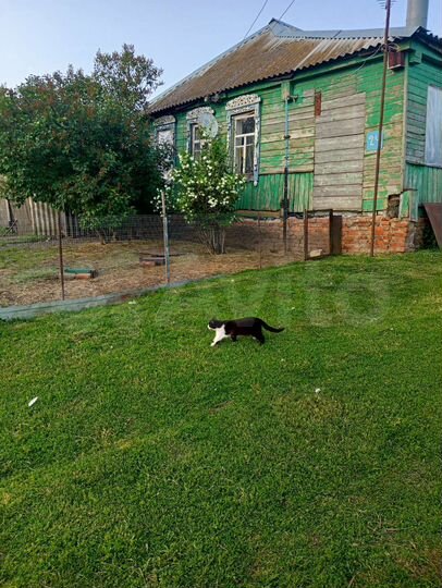 Дом 60,3 м² на участке 60 сот.