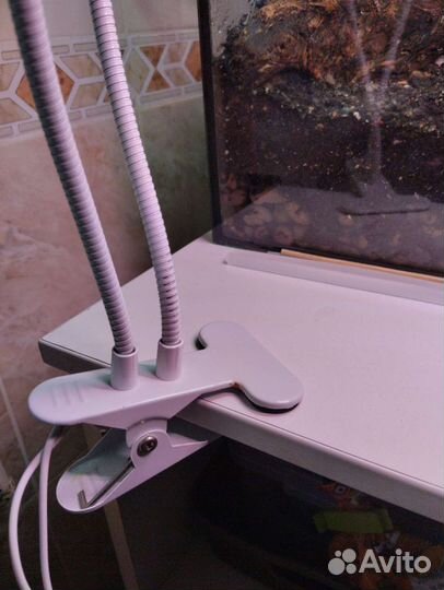 Фитолампа для растений