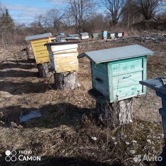 Продам ульи для пчел