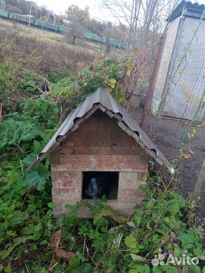 Будка для собаки