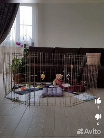 Вольер для собак в квартиру