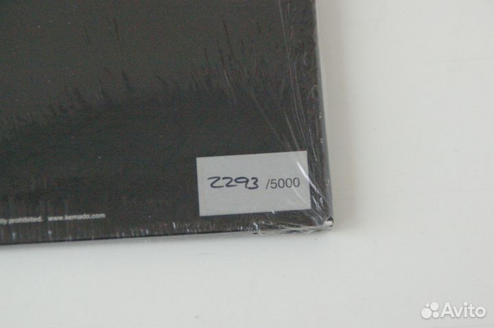 Пластинка The Sword Warp Riders numbered