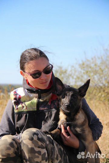 Дрессировка собак с проживанием/Передержка