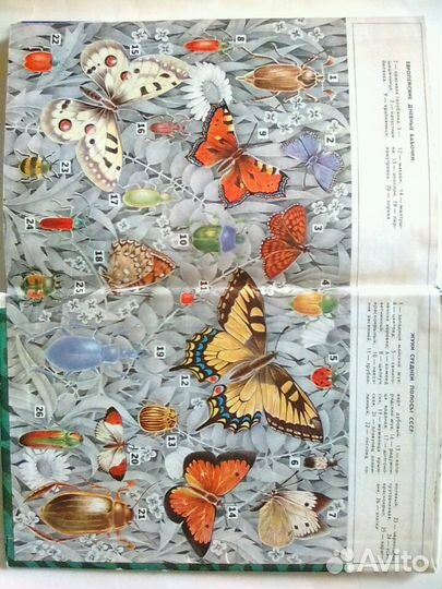 Книга. Хрестоматия по зоологии