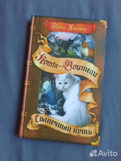 Коты-воители солнечный путь