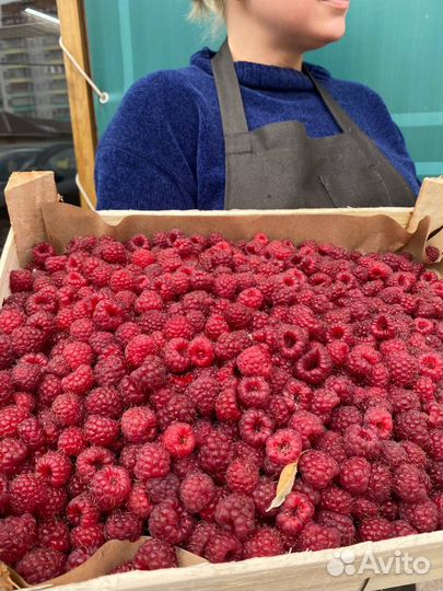 Малина Киргизии ящик 26-27 июля