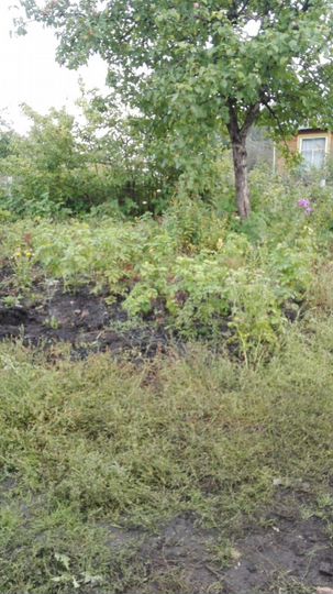 Участок 5 сот. (СНТ, ДНП)