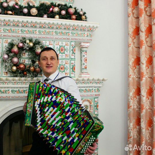 Баянист поющий диджей музыкант