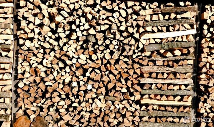 Дрова свежие