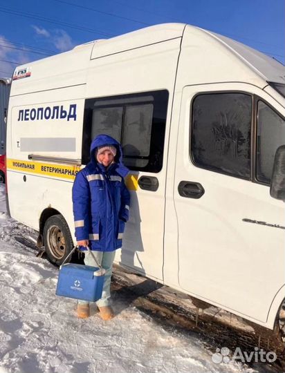 Ветеринарная помощь на дому