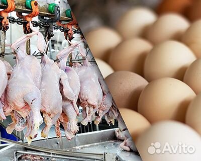 Упаковка готовой продукции