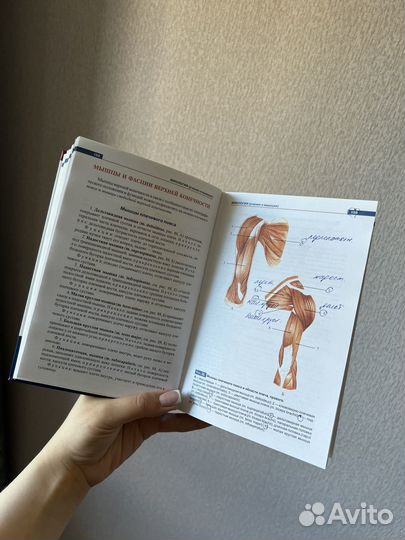 Атлас анатомии человек Р.П.Самусев