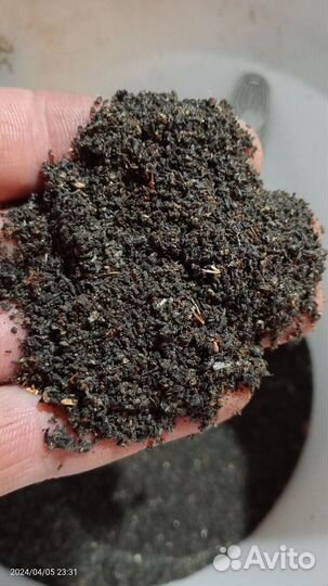 Пжвм-поживёМ