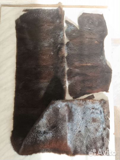 Шкурки норки