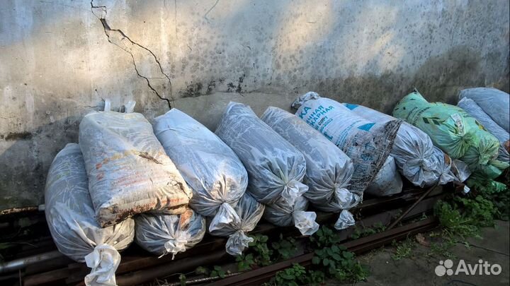 Птичий помёт