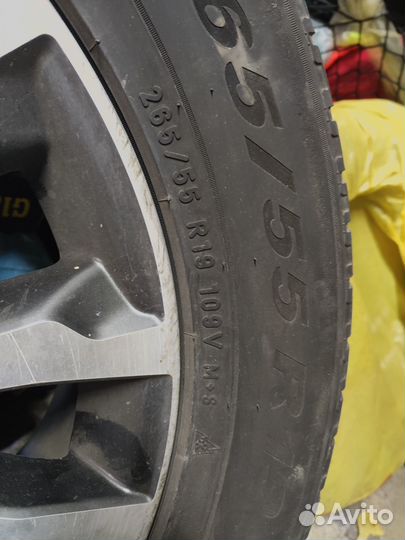 Pirelli Scorpion Winter 265/55 R19