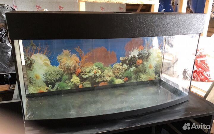 Панорамный аквариум