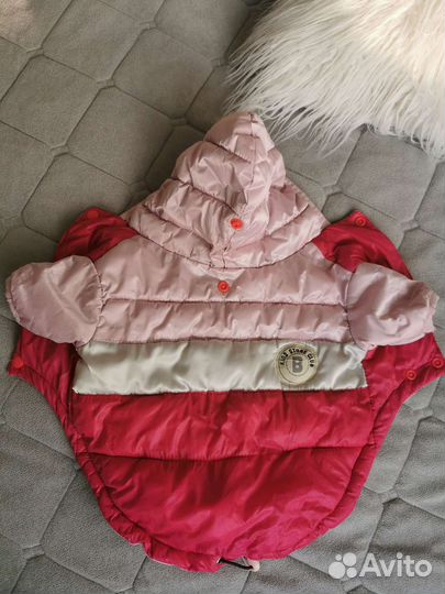 Вещи для собак мелких пород пакетом