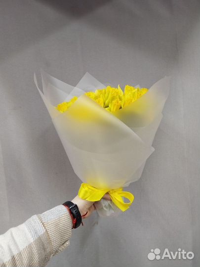 Букет из 51 желтого нарцисса
