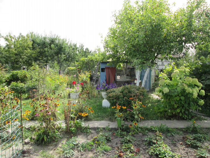 Дача 37,5 м² на участке 10 сот.