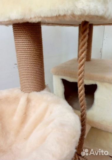 Качественный когтеточка игровой комплекс для крупных кошек высота 186 с гарантией
