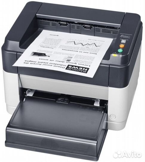 Принтер kyocera Document Solutions FS-1060DN