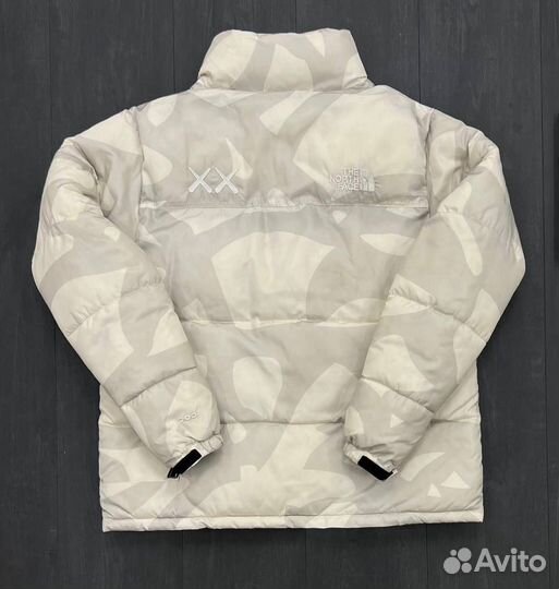 Куртка the north face 700 kaws