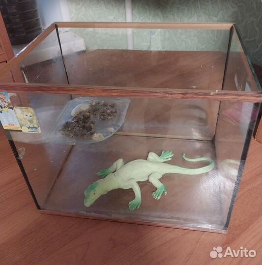 Террариум для улиток