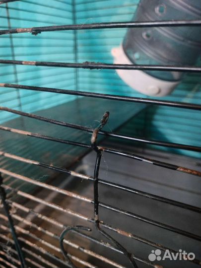 Клетка для крыс большая