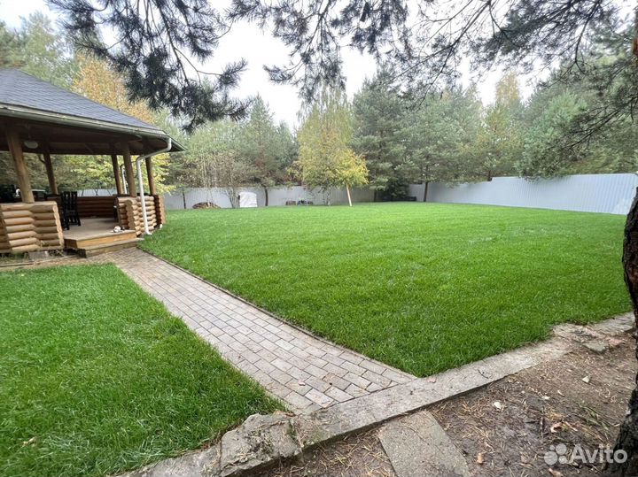 Рулонный газон. Работа по проекту