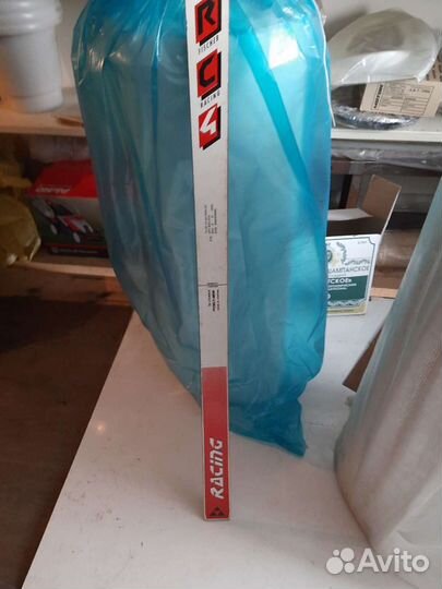 Горные лыжи