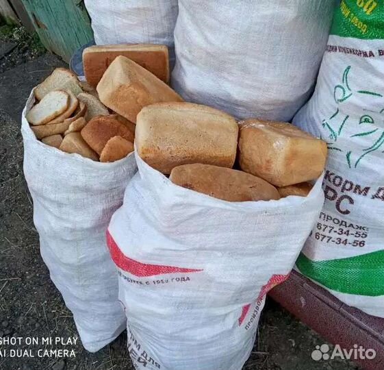 Хлеб на корм животным