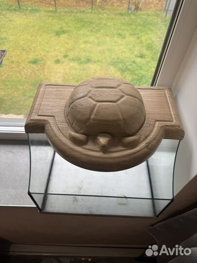 Черепашатник аква гесса