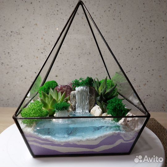 Флорариум с суккулентами