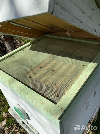 Ульи для пчел с магазинами бу