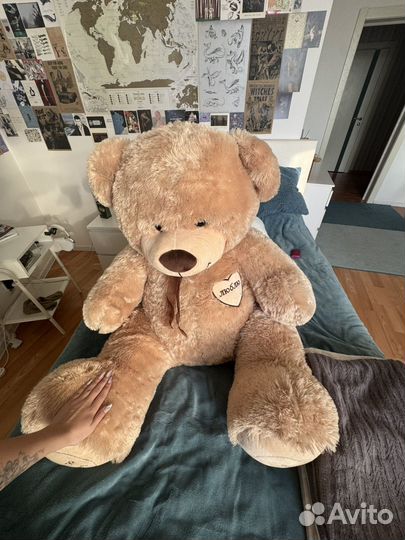 Большие плюшевые медведи