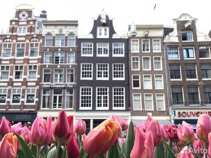 Амстердам Топ-Экскурсия Амстердам изнутри