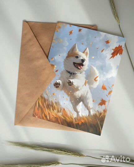 Набор открыток с собаками